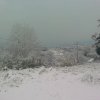 neve2